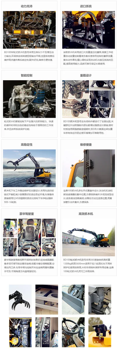 Baoding BD100W-8D
