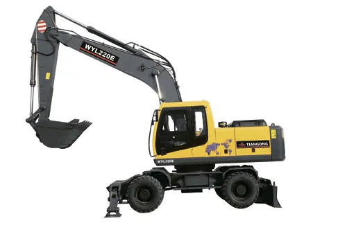 Dingsheng WYL220E
